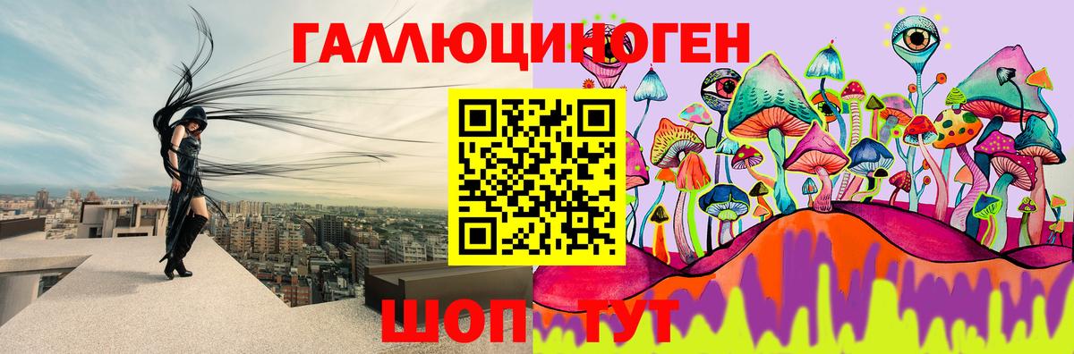 Галлюциногенные грибы Psilocybine cubensis Черняховск